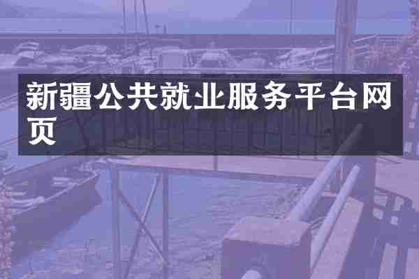 新疆公共就业服务平台网页