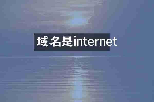 域名是internet