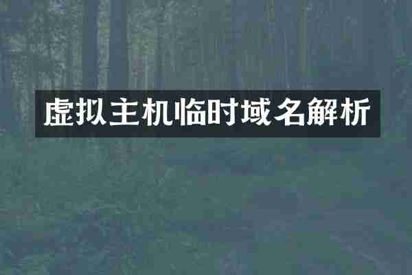 虚拟主机临时域名解析