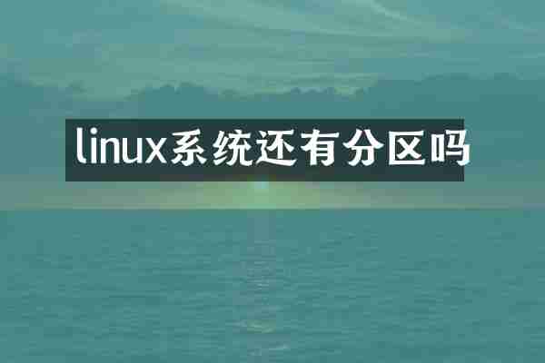 linux系统还有分区吗