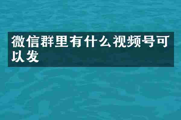 微信群里有什么视频号可以发