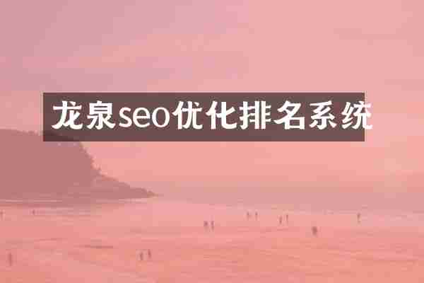 龙泉seo优化排名系统