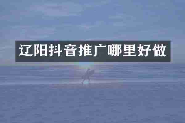 辽阳抖音推广哪里好做