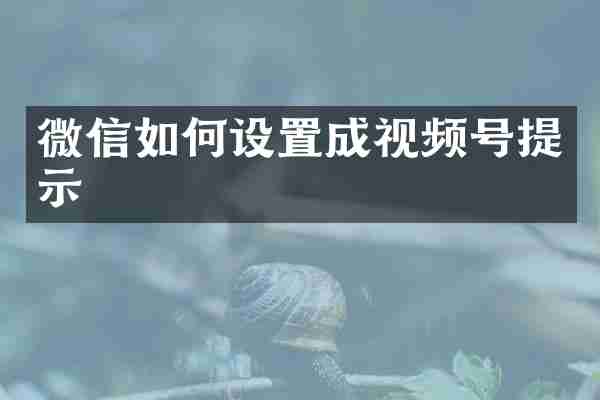 微信如何设置成视频号提示