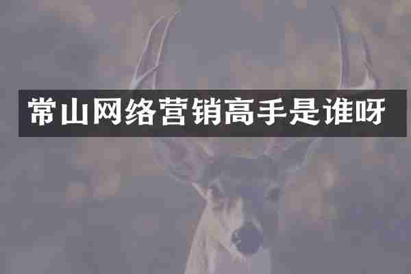 常山网络营销高手是谁呀