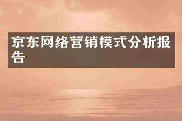 京东网络营销模式分析报告