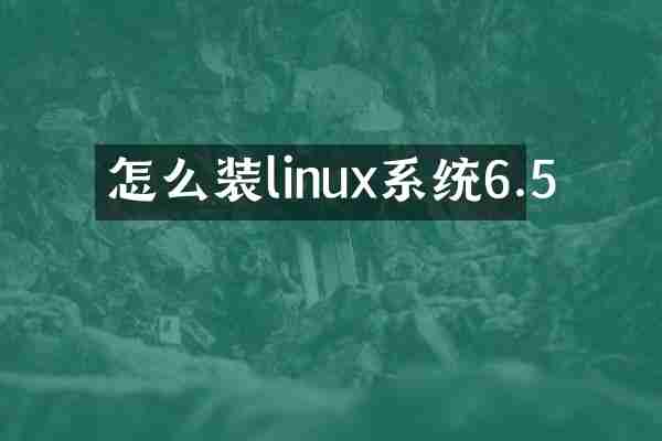 怎么装linux系统6.5
