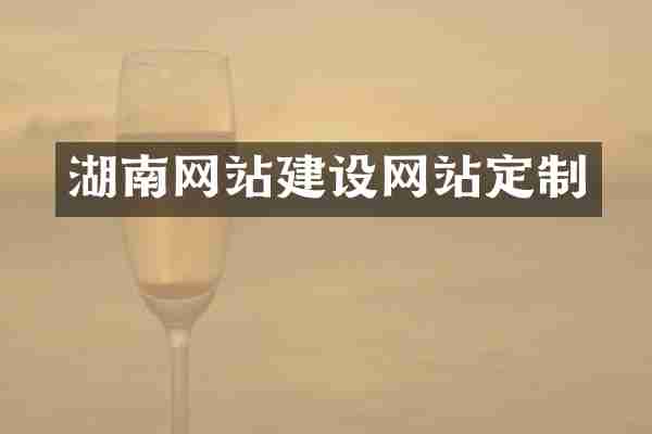 湖南网站建设网站定制