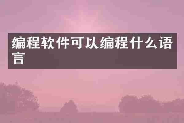 编程软件可以编程什么语言