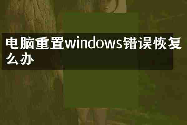 电脑重置windows错误恢复怎么办
