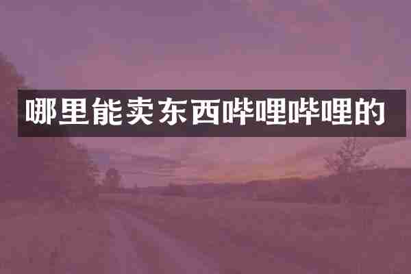 哪里能卖东西哔哩哔哩的