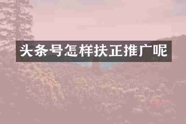 头条号怎样扶正推广呢