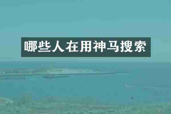 哪些人在用神马搜索