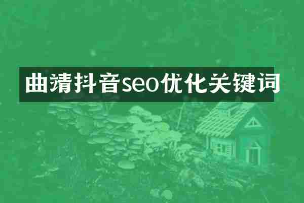 曲靖抖音seo优化关键词
