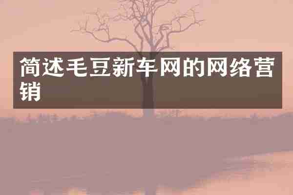 简述毛豆新车网的网络营销