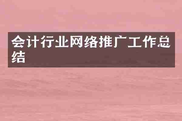 会计行业网络推广工作总结