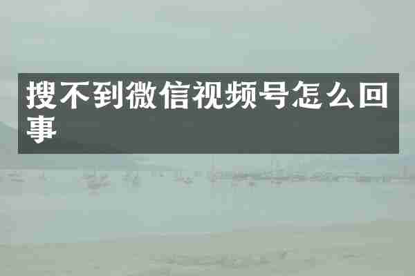 搜不到微信视频号怎么回事