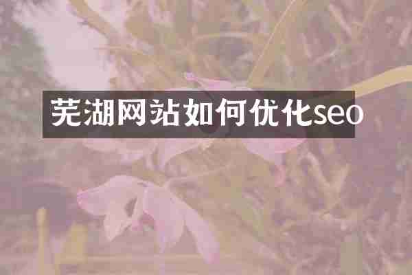 芜湖网站如何优化seo