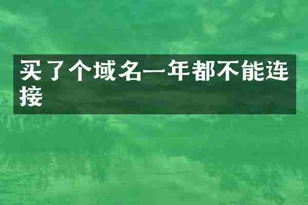 买了个域名一年都不能连接