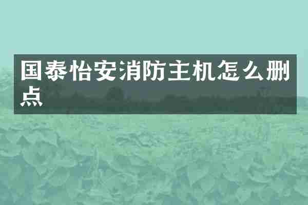 国泰怡安消防主机怎么删点