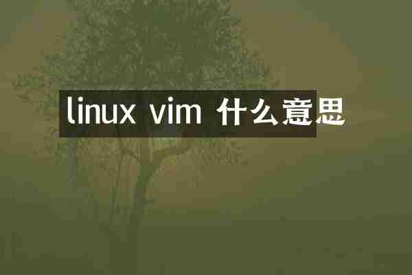 linux vim 什么意思