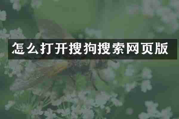 怎么打开搜狗搜索网页版