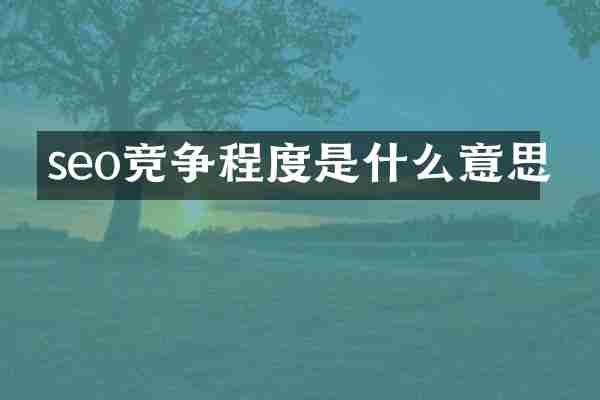 seo竞争程度是什么意思