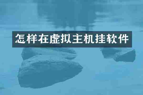 怎样在虚拟主机挂软件
