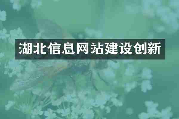 湖北信息网站建设创新