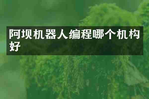 阿坝机器人编程哪个机构好