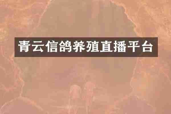 青云信鸽养殖直播平台