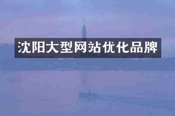 沈阳大型网站优化品牌