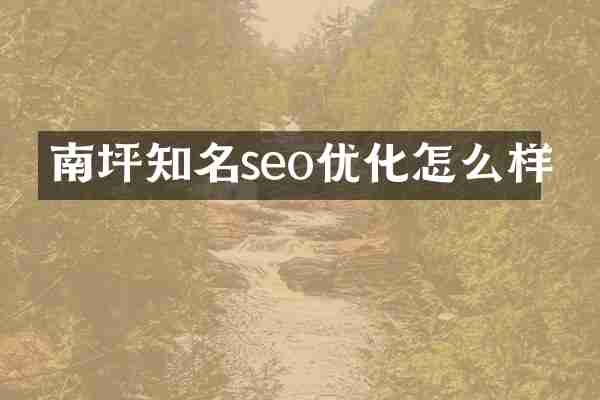 南坪知名seo优化怎么样