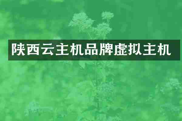 陕西云主机品牌虚拟主机