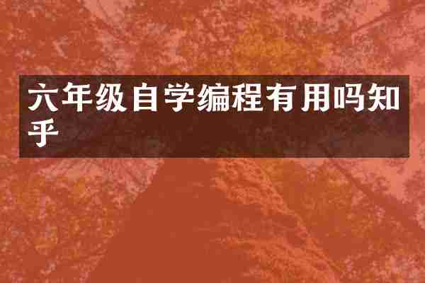 六年级自学编程有用吗知乎