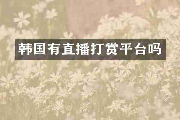 韩国有直播打赏平台吗