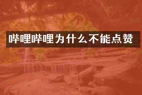 哔哩哔哩为什么不能点赞