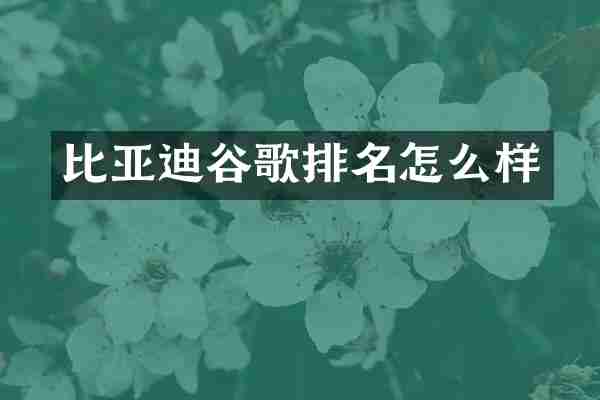 比亚迪谷歌排名怎么样