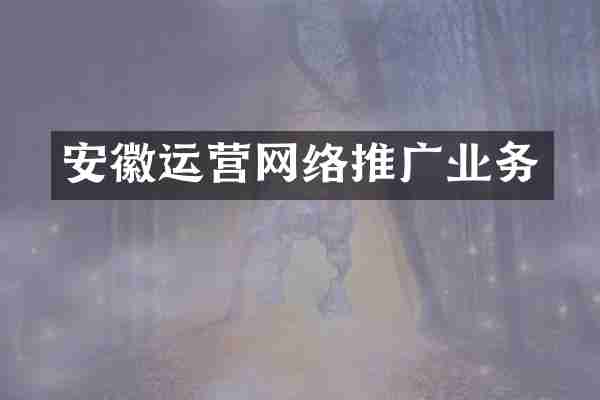 安徽运营网络推广业务