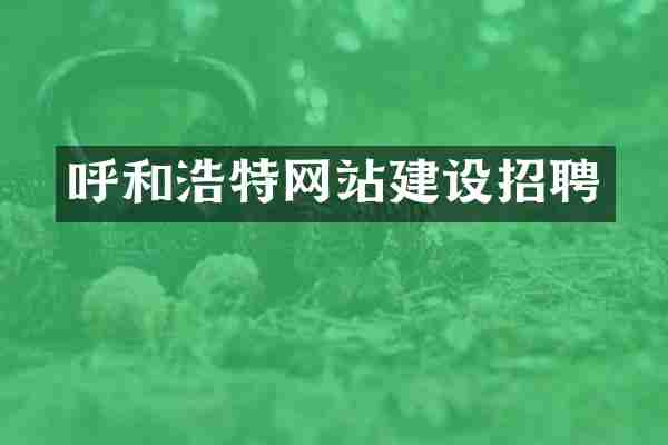 呼和浩特网站建设招聘