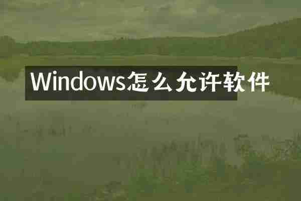 Windows怎么允许软件