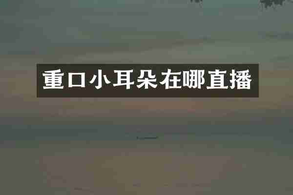 重口小耳朵在哪直播