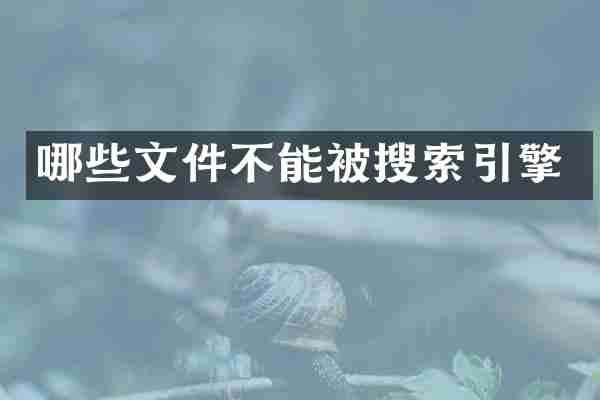 哪些文件不能被搜索引擎
