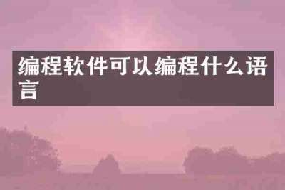 编程软件可以编程什么语言