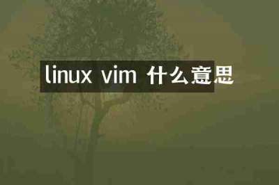 linux vim 什么意思