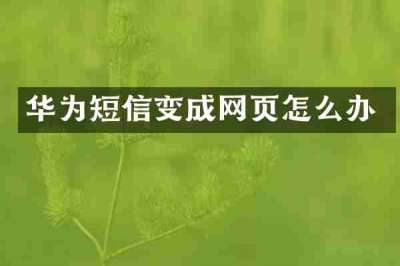 华为短信变成网页怎么办