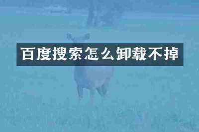 百度搜索怎么卸载不掉