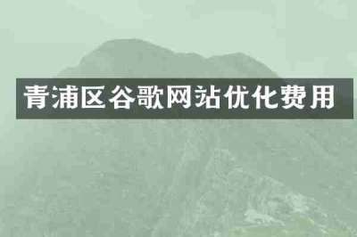 青浦区谷歌网站优化费用