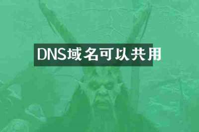 DNS域名可以共用