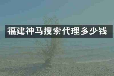 福建神马搜索代理多少钱
